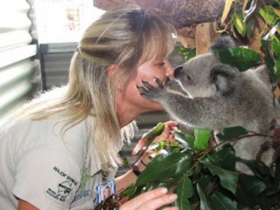 koala stories_twins