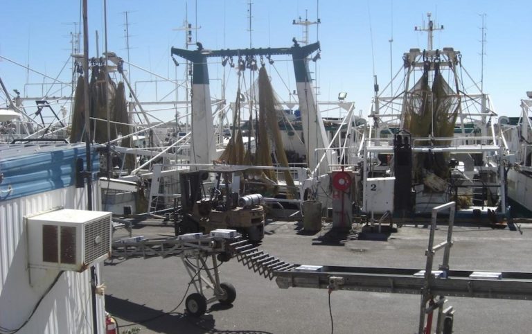 Working on a prawn vessel in Australia – Job experience