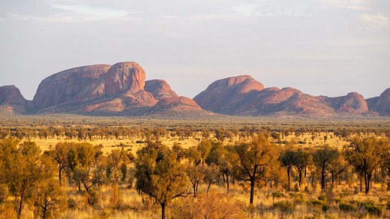 Best Things to do in Northern Territory Australia